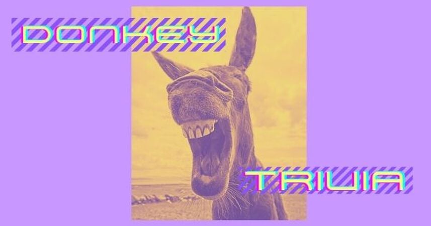 Donkey Trivia